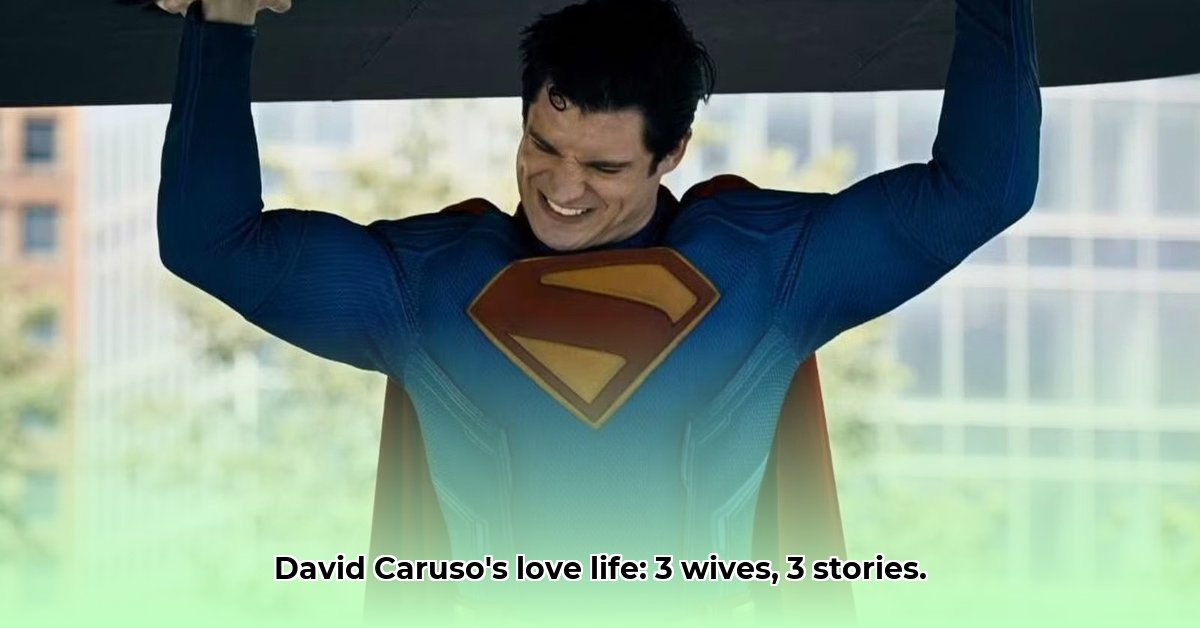 david-caruso-wife